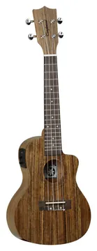Tanglewood Tiare T12