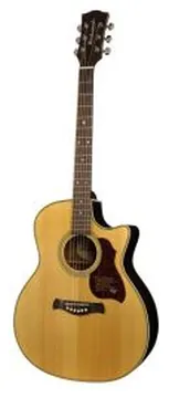 Richwood Master Series Handmade Grand Auditorium Acoustic Guitar, G-65-CEVA
