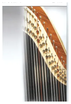 Bow Brand Pedal Concert Bass Wire 6th Octave E=MI No.36