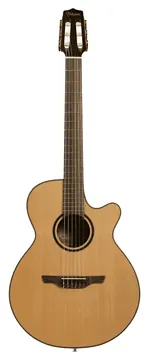 Takamine Japan Ec P3Fcn Fcx Cutaway Nylon