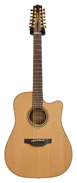 Takamine P3DC-12