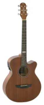 Strinberg Sa200c Mgs Folk Fosco