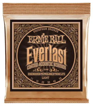 Ernie Ball 2548 Everlast Light Acoustic Guitar Strings