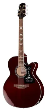 Takamine GN75CEWR