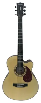 Waldman Eletroacustico Aço FCEX340N Natural