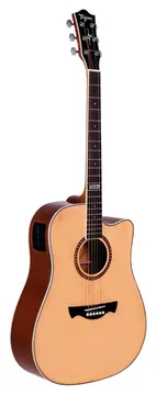 Tagima Kansas Folk com Afinador Natural