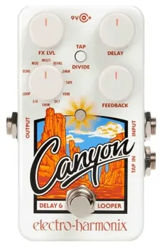 Electro Harmonix Canyon Delay & Looper