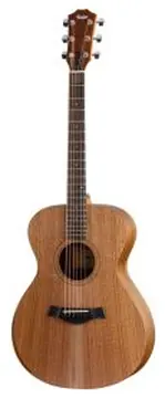 Taylor ACADEMY 22E