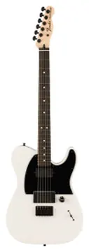 Fender Telecaster Signature Jim Root Flat White