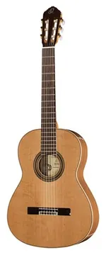 Ortega R20GWN-L