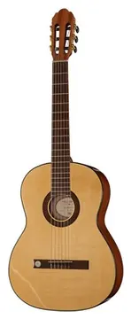 Gewa Pro Arte GC210A