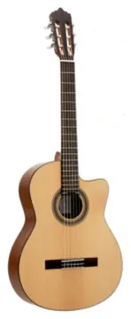 Veelah CCTSN Cutaway