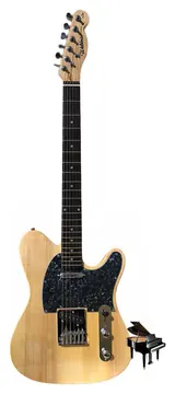 Waldman Telecaster GTE-200 NT