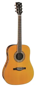 Eko Guitars Ranger Futura