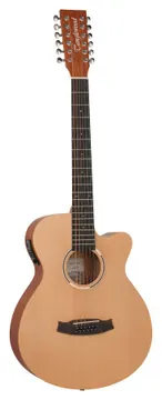 Tanglewood TR4 12CE