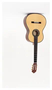 Esteve 60°ANN LTD ED Chitarra Classica