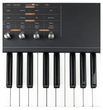 Waldorf Teclado Sintetizador Waldorf Blofeld Shadow Blodeld