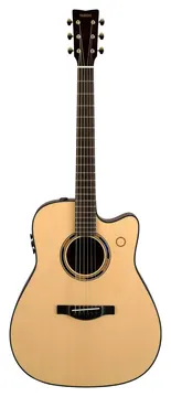 Yamaha Transacoustic TAGC 3 Natural