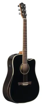 Tagima WS-25 EQ BK