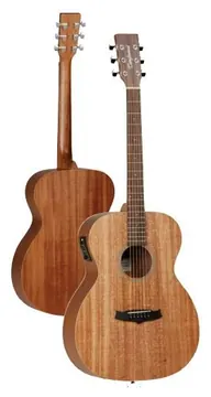 Tanglewood Winterleaf Tw2E