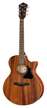 Ibanez AE140-OPN
