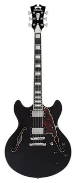 D'Angelico Premier DC Black Flake