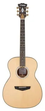 DAngelico Excel Josh Turner Tammany