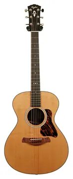Taylor Gold Label 712e Grand Concert #1201286050