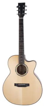 BSG Guitars GA 12 CF