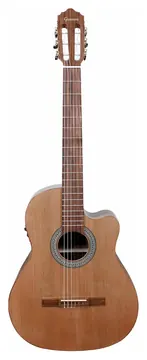 Giannini Classico NCP1 Fishman NG Cut Pau Ferro