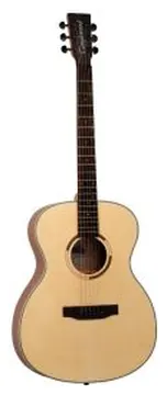 Tanglewood TS3-N