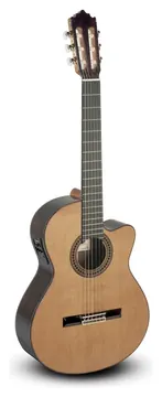 Paco Castillo 224CE