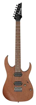 Ibanez RG421-MOL E-Gitarre