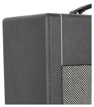 Hook Amplification Little Lenny 30W Combo Black