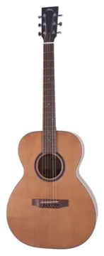 BSG Guitars OM 10 F