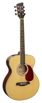 Brunswick BF200 Guitare Folk Acoustique Grand Auditorium Naturelle