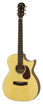 Aria 101CE MTN Acoustic Cutaway Electro Acoustic Matte Nat