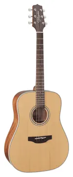 Takamine Gd20 Natural