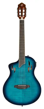 Ortega Tourplayer DLX NY Gaucher