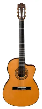 Ibanez Eletroacústico Clássico Flat GA 5TCE AM