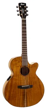 Cort SFX- Myrtlewood NT Western Gitarre