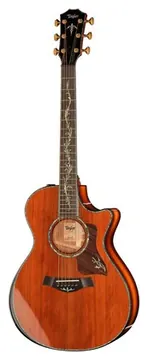 Taylor PS12ce Honduran Rosewood