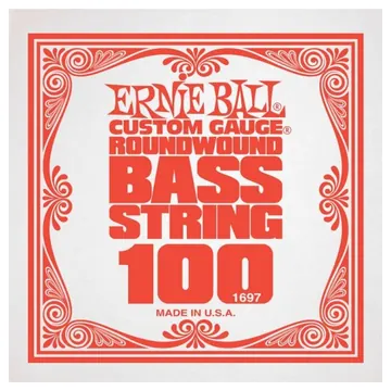 Ernie Ball Corde Détail Basse 100 1697