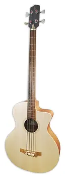 Baixo Acústico APC BG100 CW Spruce Sapele OP