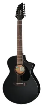 Breedlove Discovery S Conc 12-St CE BS