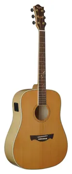 Tagima FS-250 NT NC EQ - acompanha BAG