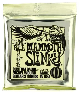 Ernie Ball 2214 Mammoth Slinky .012-.062