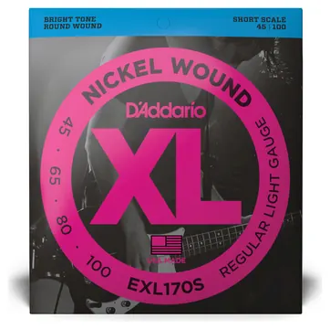 D'Addario EXL170S