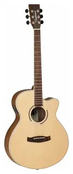 Tanglewood DBTSFCE BW