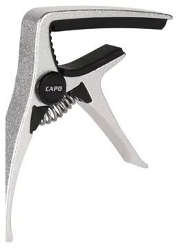 Boston CAPO/AE-01